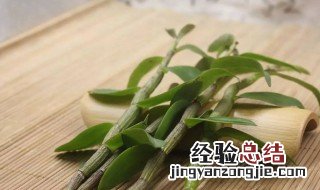 怎样食用石斛 食用石斛方法介绍