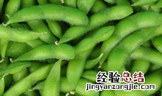 种毛豆什么季节最好种植 种毛豆什么季节最好