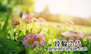朋友圈点赞高的精辟句子 朋友圈点赞高的句子