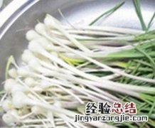 野韭菜的功效与作用吃法 野韭菜的功效与作用