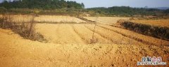 黄土粘性大怎么改良，黄土能种菜吗 黄土粘性大怎么改良,黄土能种菜吗