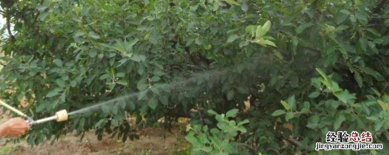 己唑醇不能和什么混用,与戊唑醇有什么区别