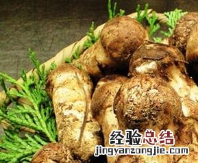 松茸的功效与作用 松茸的功效与作用及禁忌