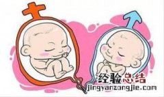 双胞胎是遗传吗 双胞胎跟遗传基因有关吗