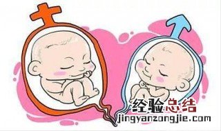 双胞胎是遗传吗 双胞胎跟遗传基因有关吗