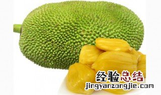 超市买来的菠萝蜜可以直接吃吗 超市买的菠萝蜜可以直接吃吗