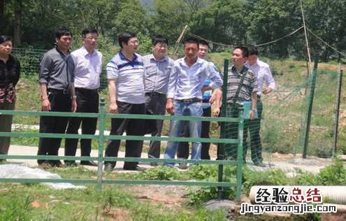 江西上饶市畜牧局指导铅山县生猪标准化养殖工作