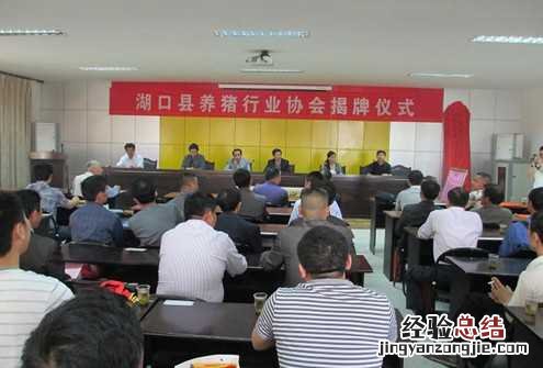 江西湖口县正式挂牌成立养猪行业协会