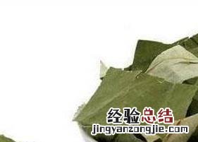 荷叶茶喝了会上火吗女生 荷叶茶喝了会上火吗
