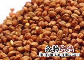 苦荞茶的四大养生功效 苦荞茶的四大养生功效作用