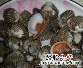 血蚶的做法与吃法 血蚶的做法大全