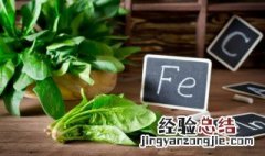正确的补铁方法 怎么补铁比较好