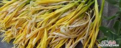 黄花菜怎么泡,需要泡多长时间 黄花菜怎么泡