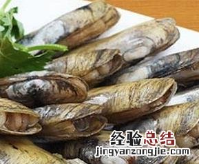 蛏子的做法大全 水煮蛏子的做法大全