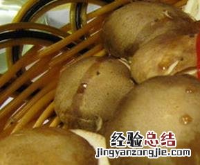冬菇是什么调料 冬菇是什么