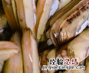 蛏子的功效与作用及营养 蛏子的功效与作用