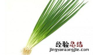 小葱的储藏方法 小葱的保存方法