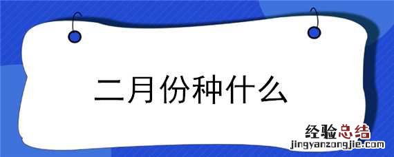 二月份种什么菜合适 二月份种什么