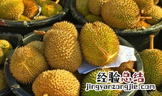 苏丹王榴莲果肉是什么颜色的 苏丹王榴莲是什么季节
