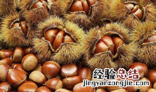 女人吃板栗的9大好处 女人吃板栗好吗?