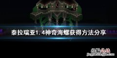 泰拉瑞亚1.4神奇海螺有什么用 泰拉瑞亚神奇海螺种子1.4.2.3