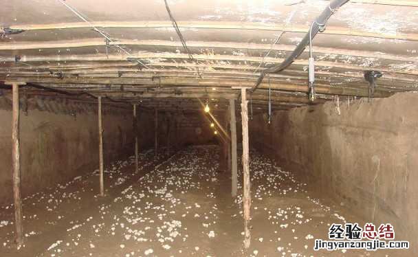 浙江嘉兴53户猪农实施猪棚改菇棚