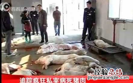 萧县查扣病死猪肉八千斤