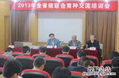 江西南昌召开2013年全省猪联合育种交流培训会