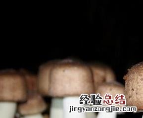 姬松茸和松茸的区别在哪里 姬松茸和松茸的区别