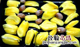 哪些人不宜吃菠萝蜜呢 哪些人不宜吃菠萝蜜