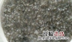 黑芝麻怎么煮粥 黑芝麻怎么煮粥好喝