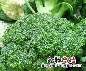 吃西兰花的好处 吃西兰花的好处与功效
