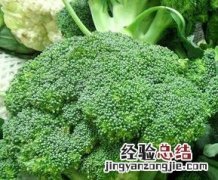 吃西兰花的好处 吃西兰花的好处与功效