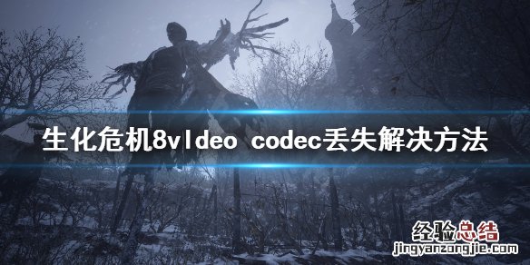 生化危机8vldeo 生化危机7