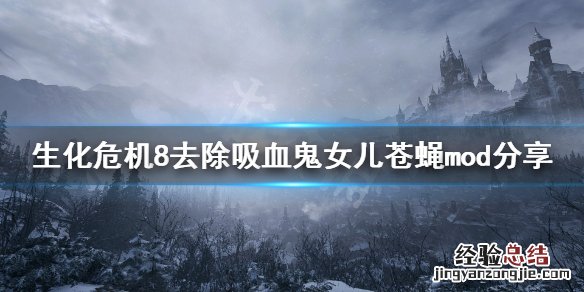 生化危机8苍蝇拍 生化危机8苍蝇怎么去除