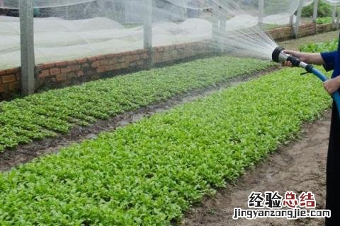 四季的农事有哪些 四季的农事有哪些?