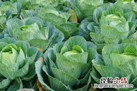 四季的农事有哪些 四季的农事有哪些?