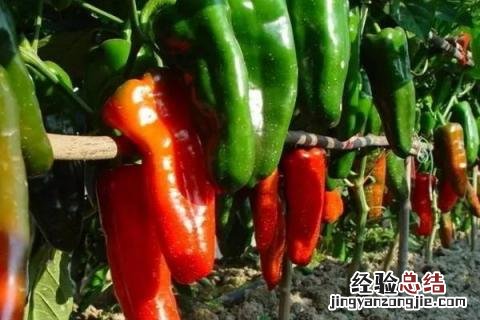 四季的农事有哪些 四季的农事有哪些?