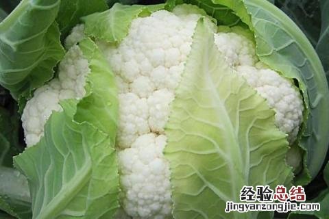 四季的农事有哪些 四季的农事有哪些?