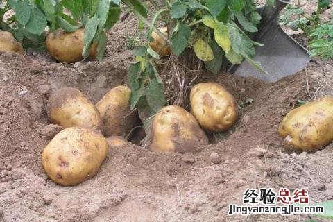 四季的农事有哪些 四季的农事有哪些?