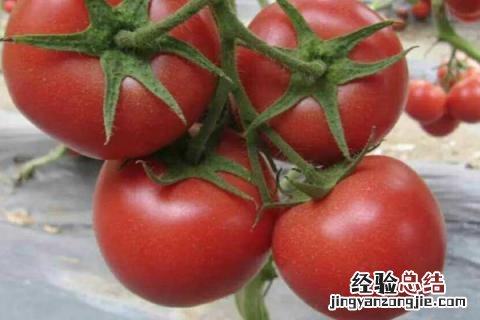 四季的农事有哪些 四季的农事有哪些?