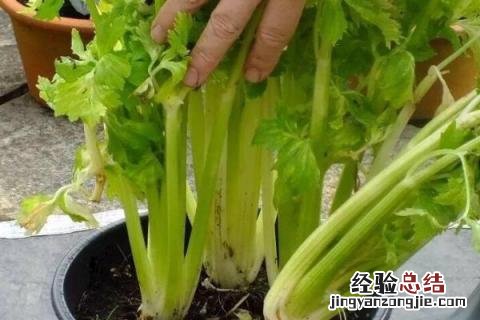 四季的农事有哪些 四季的农事有哪些?