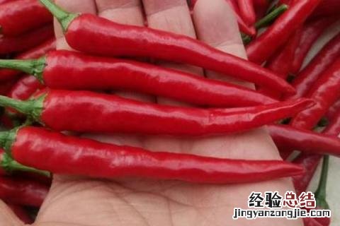 四季的农事有哪些 四季的农事有哪些?