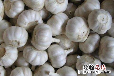 四季的农事有哪些 四季的农事有哪些?