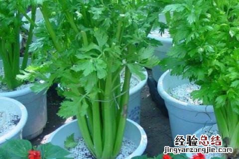 四季的农事有哪些 四季的农事有哪些?