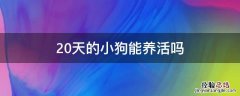 20天的小狗能养活吗 20天的小狗怎么养