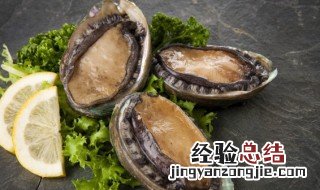 鲍鱼吃法 鲍鱼吃法禁忌