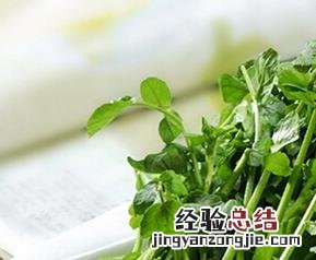 什么是帝王菜 什么是皇帝菜