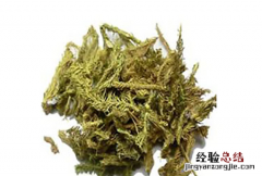 伸筋草的毒性很大 伸筋草