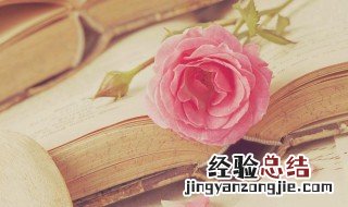 顾此失彼意思是什么意思 顾此失彼是什么意思